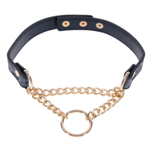 Cougar Day Collar