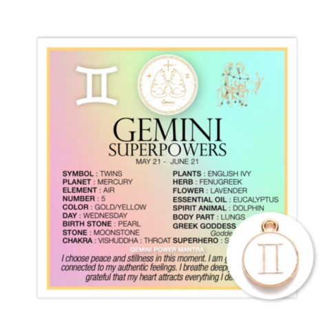 Zodiac Gemini Card w Charm