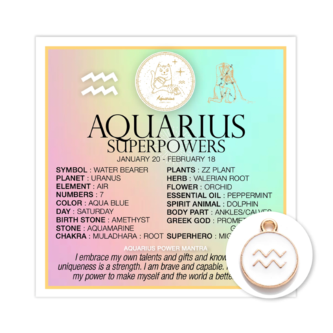 Zodiac Aquarius Card w Charm