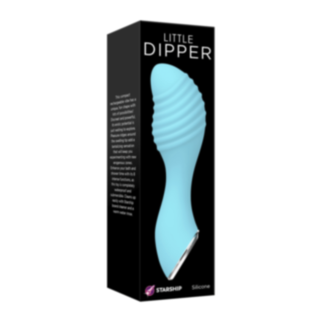 Starship Little Dipper